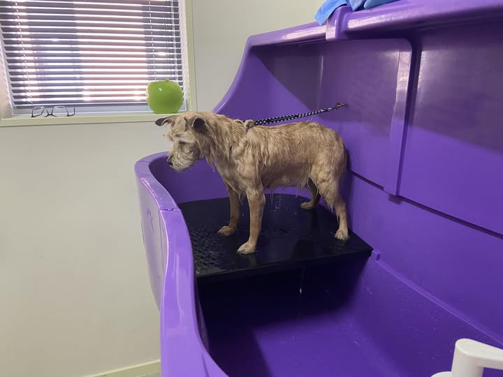 515547736 122126200370806157 5760067887894232084 n